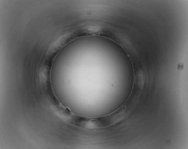 X0000111660412200907171615