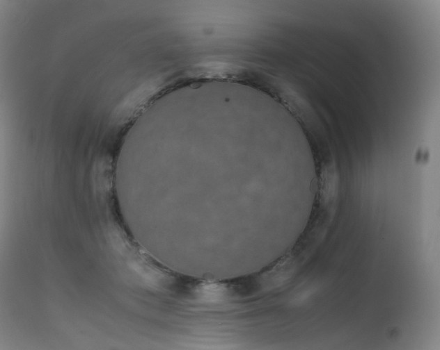 X0000111660413200907171615