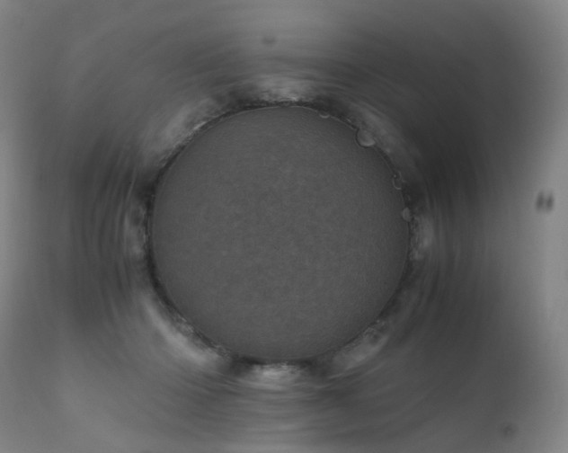 X0000111660414200907171614