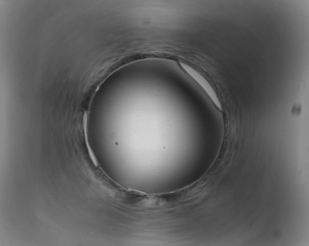 X0000111660415200907171614