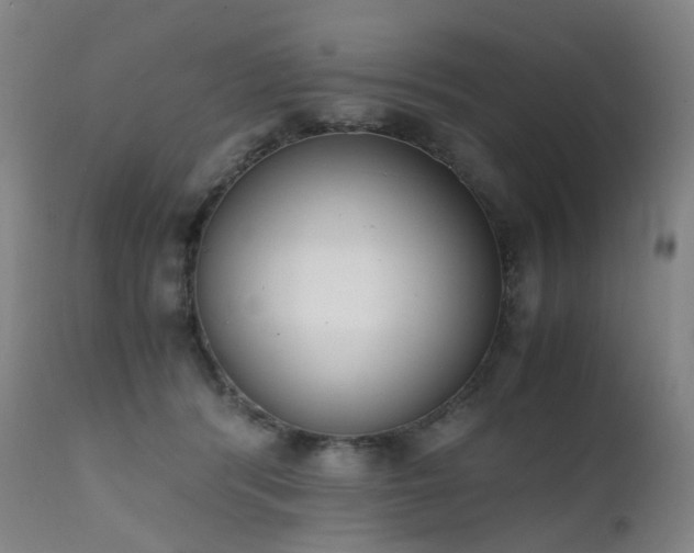 X0000111660416200907171614