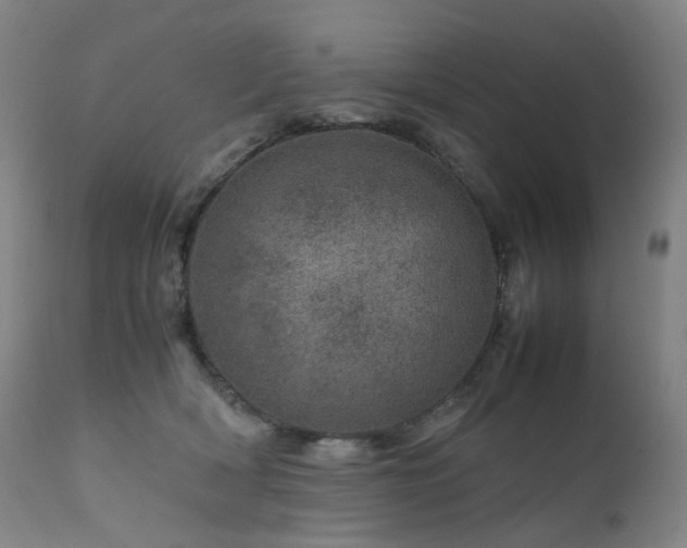X0000111660418200907171614