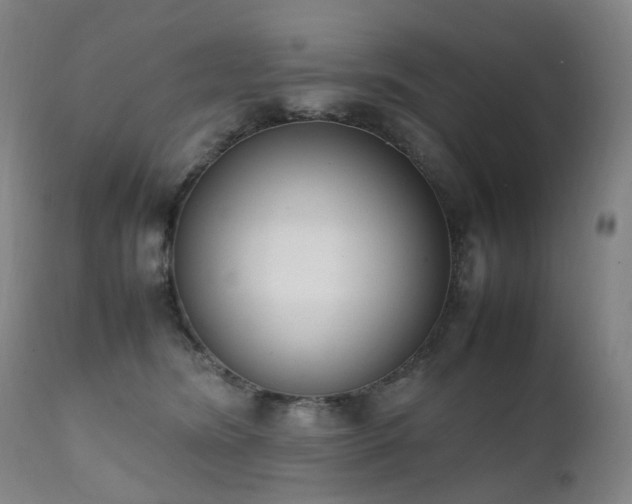 X0000111660420200907171614