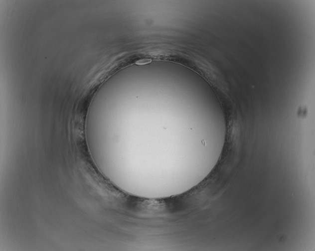 X0000111660421200907171614