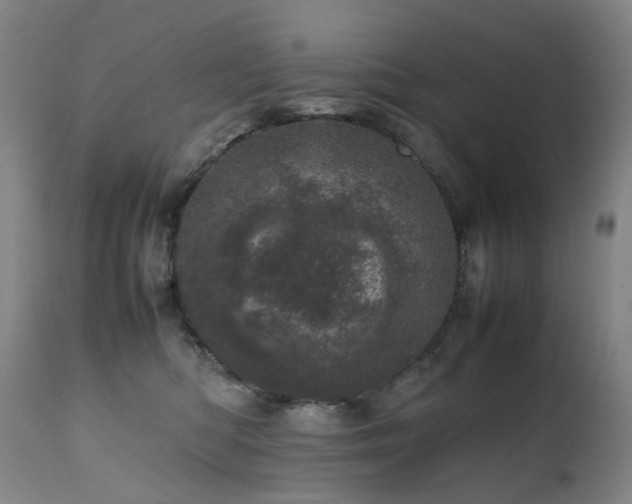 X0000111660422200907171614