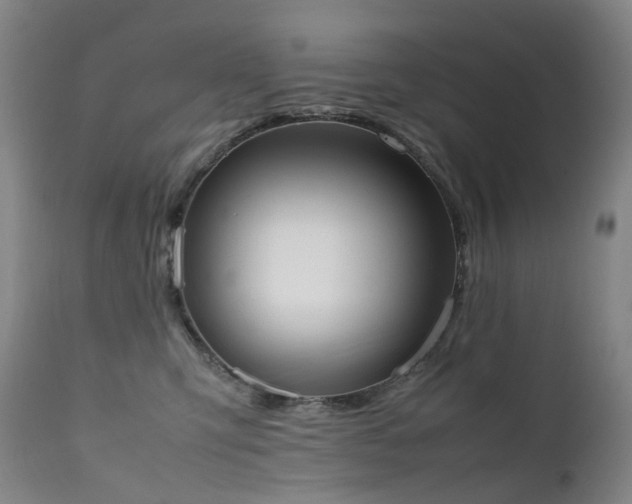 X0000111660423200907171614
