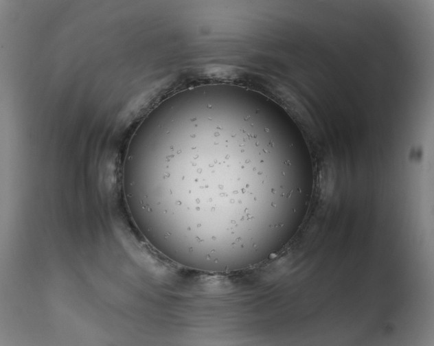 X0000111660424200907171614
