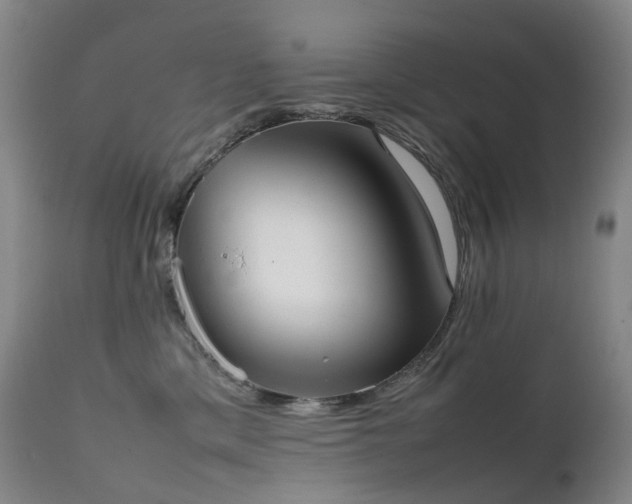 X0000111660425200907171614