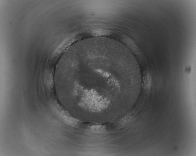 X0000111660426200907171614