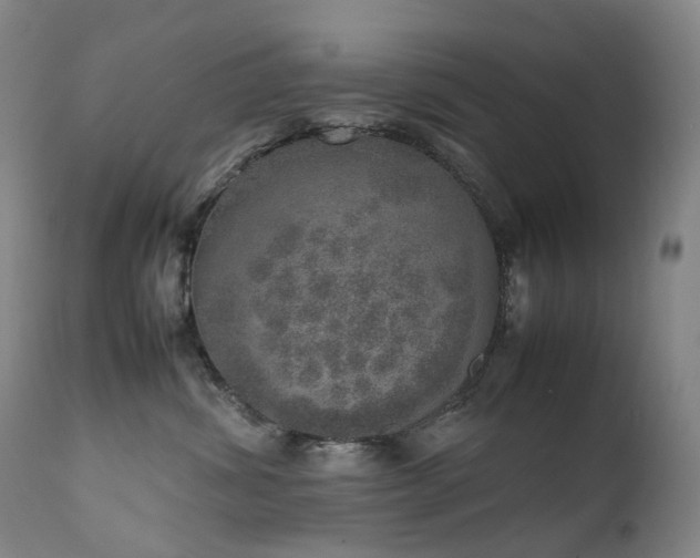 X0000111660428200907171614