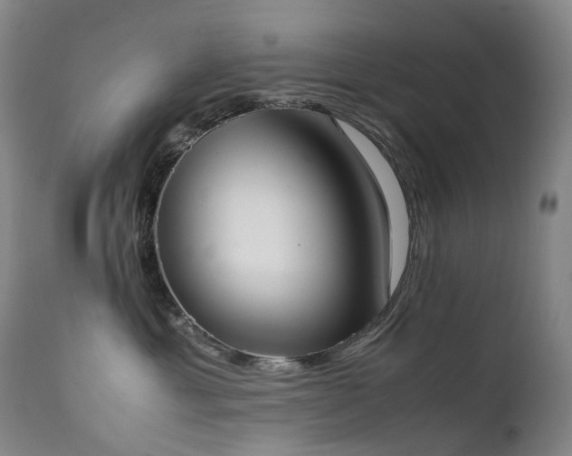 X0000111660429200907171614