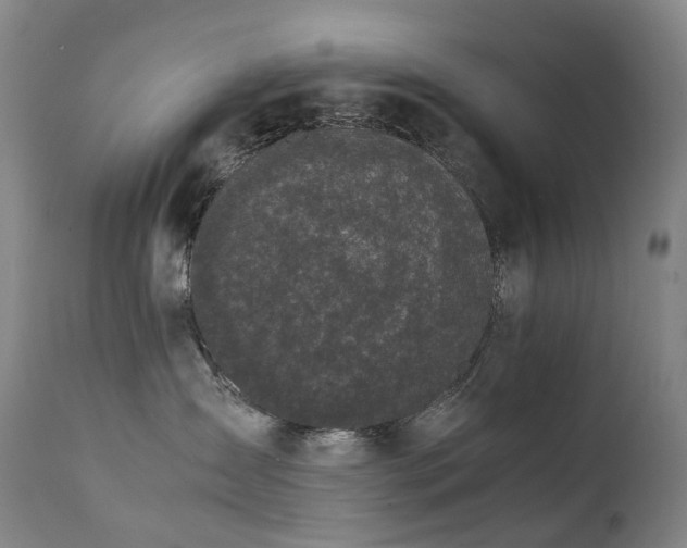 X0000111660431200907171614