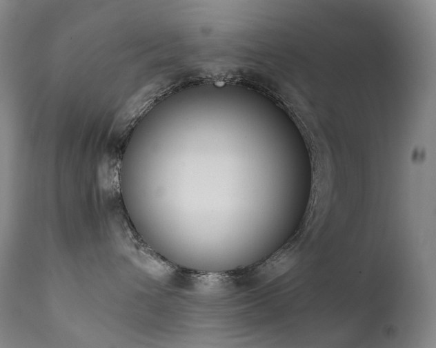X0000111660432200907171614