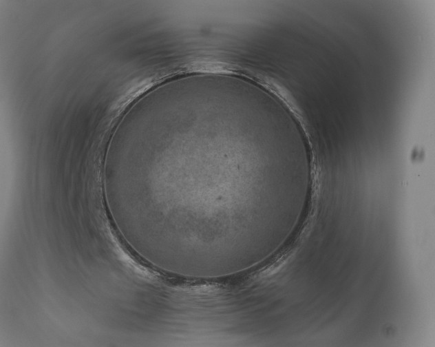 X0000111660433200907171613