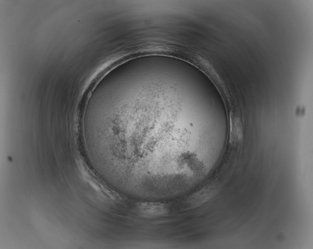 X0000111660435200907171613