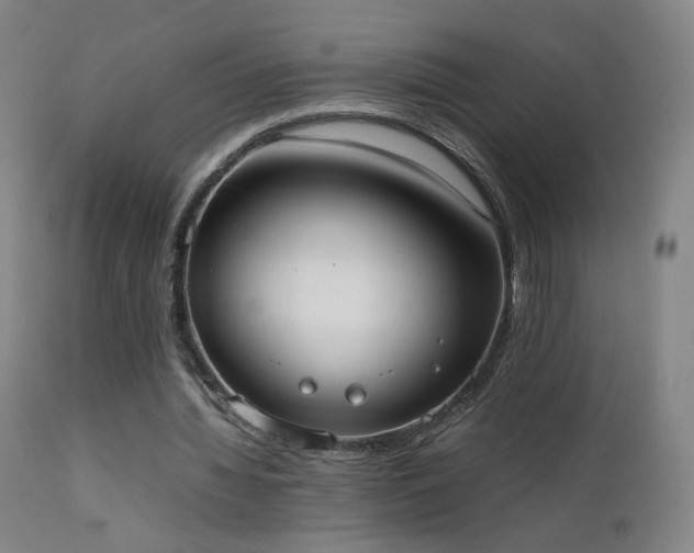 X0000111660436200907171613