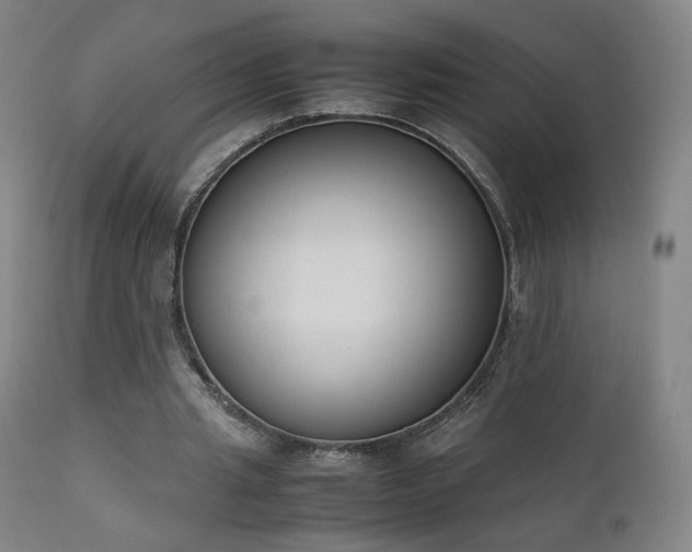 X0000111660437200907171613