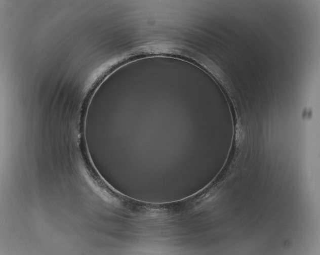 X0000111660438200907171613