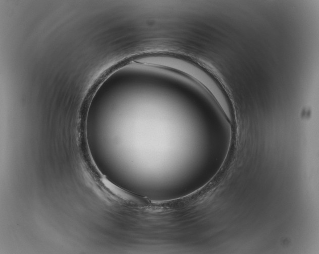 X0000111660439200907171614