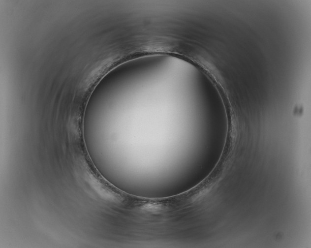 X0000111660441200907171614