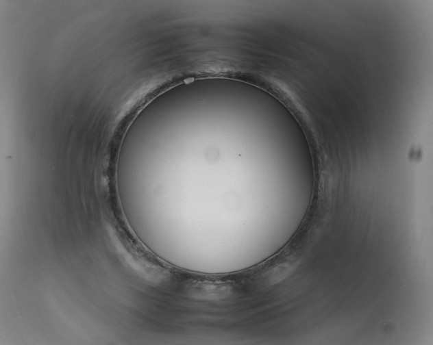 X0000111660443200907171614