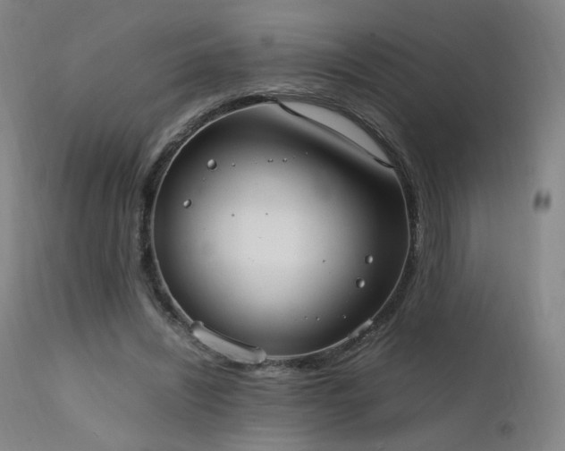X0000111660444200907171614