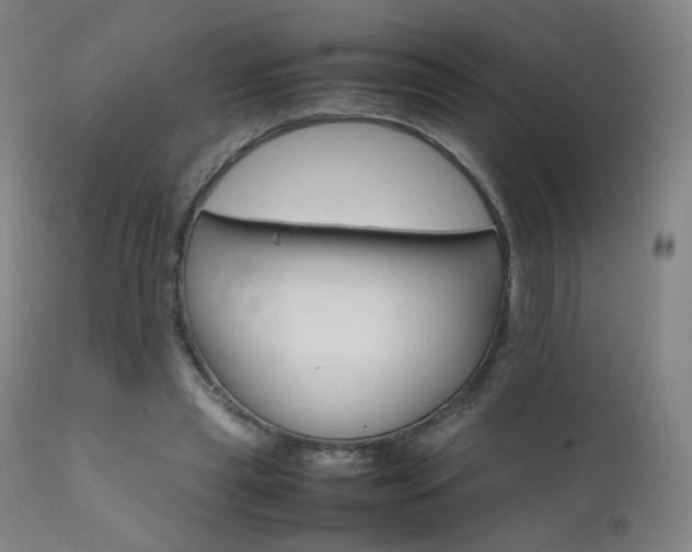 X0000111660445200907171614