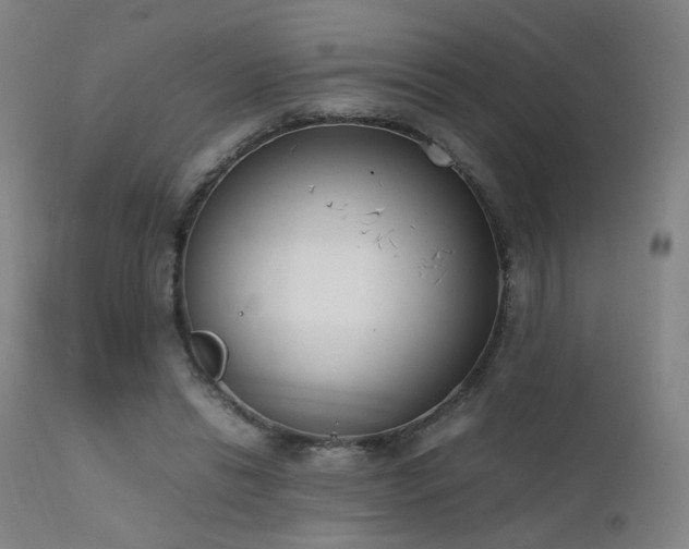 X0000111660446200907171614