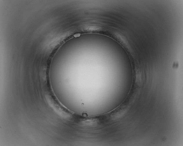 X0000111660447200907171614