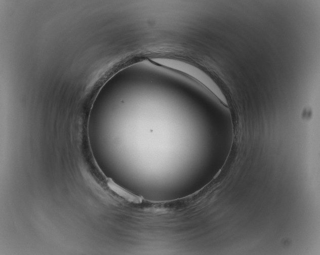 X0000111660448200907171614