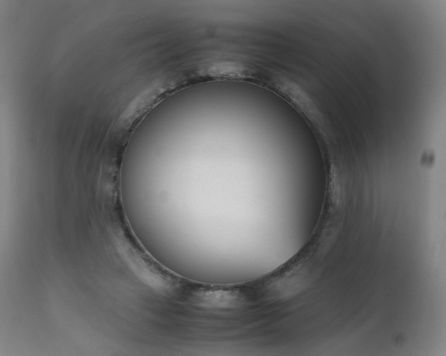 X0000111660449200907171614