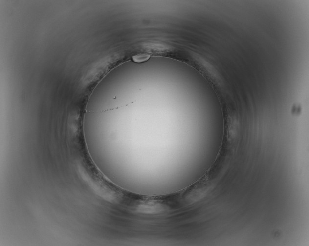 X0000111660451200907171614