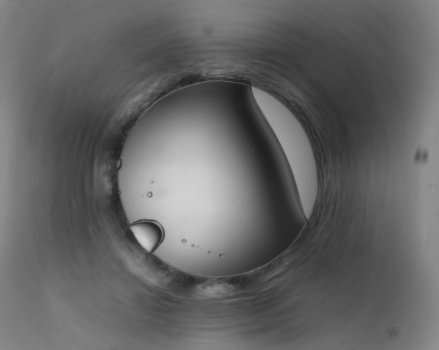 X0000111660452200907171614