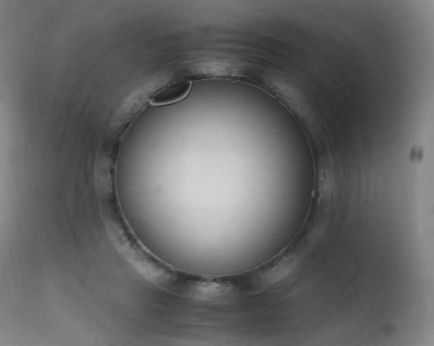 X0000111660453200907171614