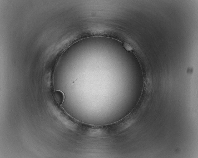 X0000111660454200907171614