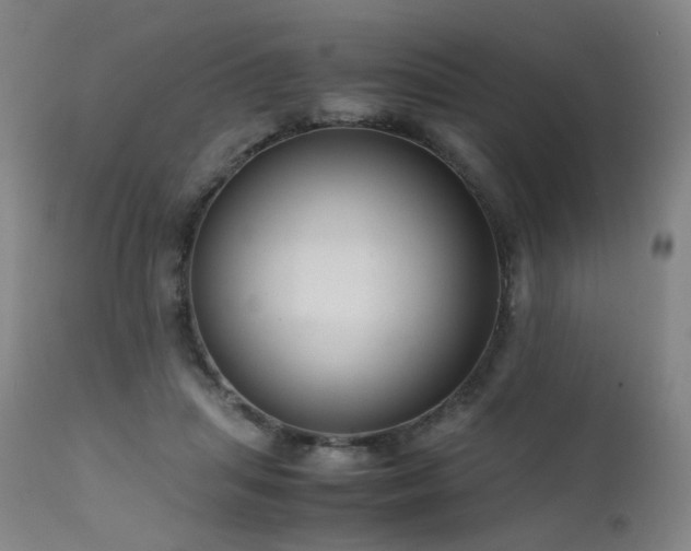 X0000111660455200907171614