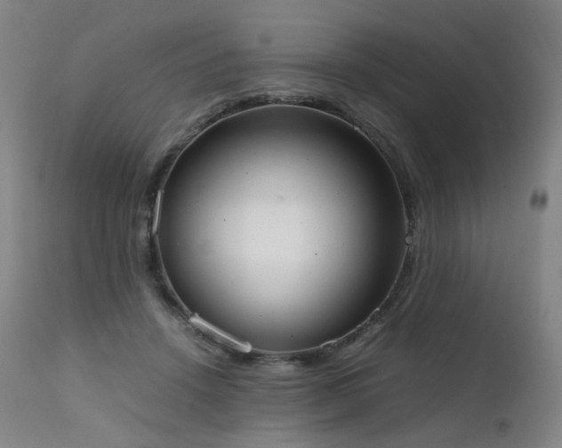 X0000111660456200907171614