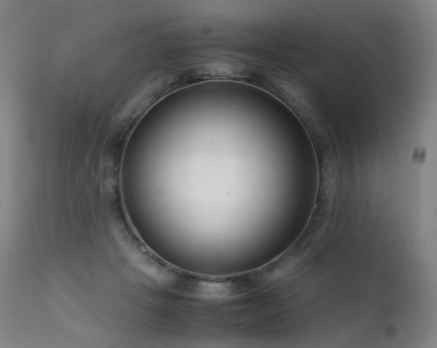 X0000111660457200907171614