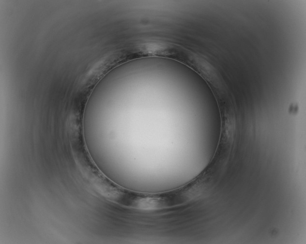 X0000111660461200907171614