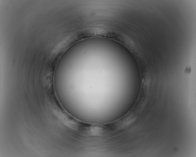 X0000111660462200907171614