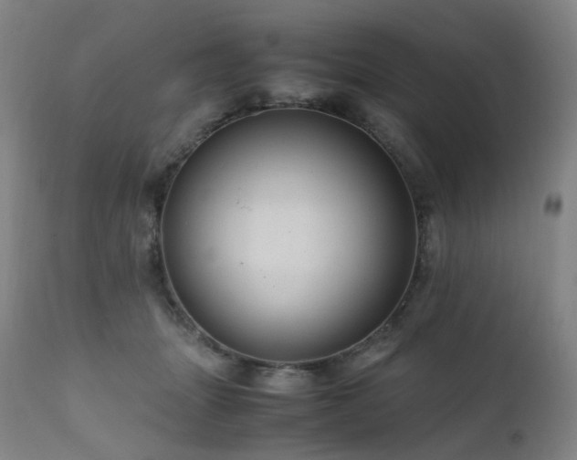 X0000111660463200907171614