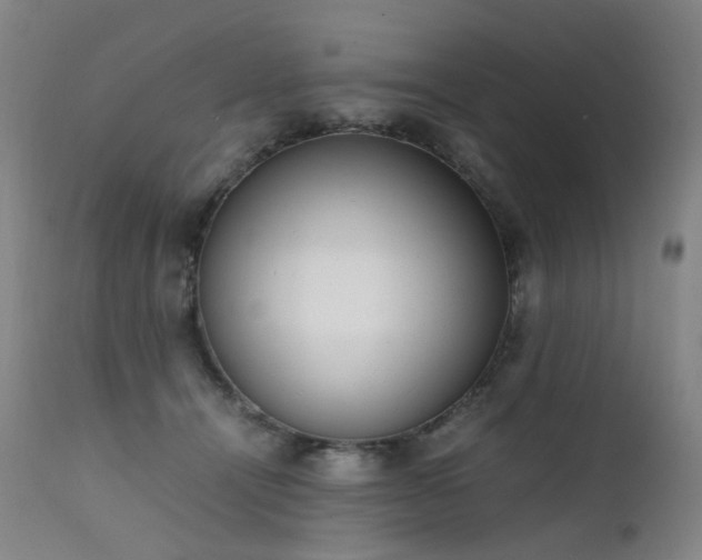 X0000111660464200907171614