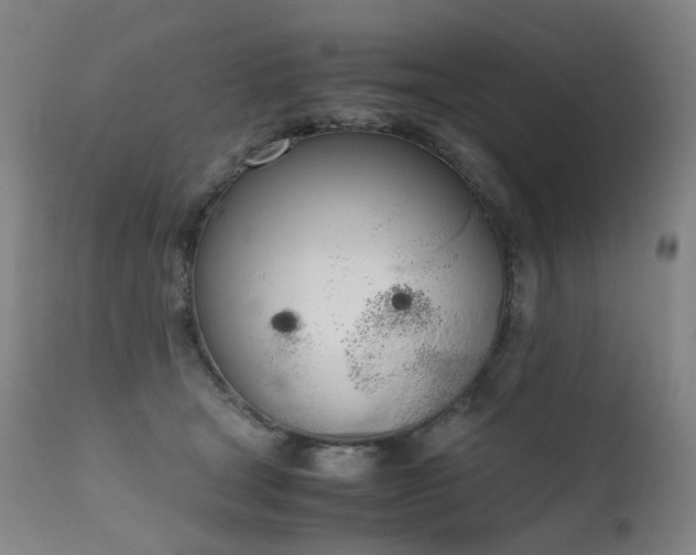 X0000111660465200907171614