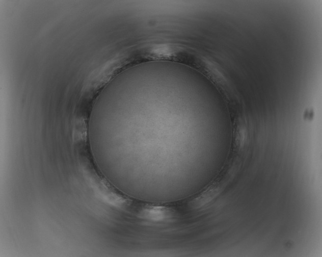 X0000111660467200907171614
