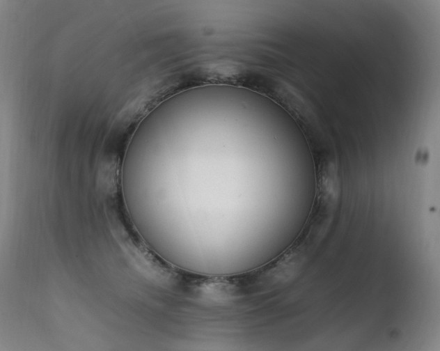 X0000111660468200907171614