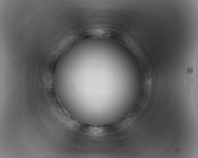X0000111660469200907171614