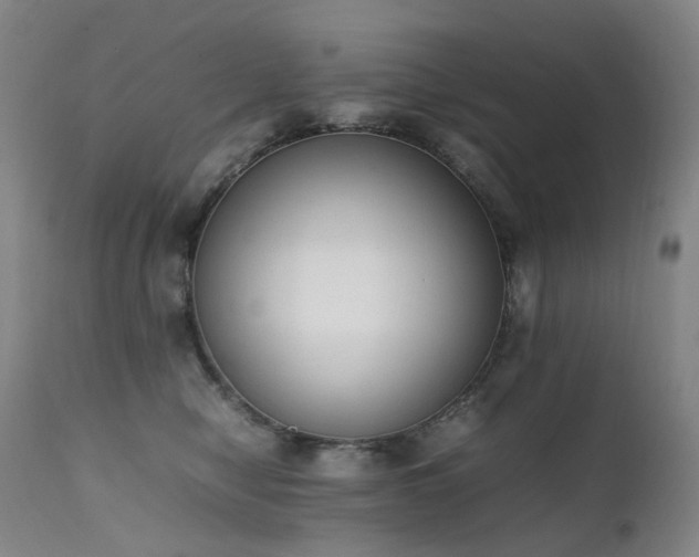 X0000111660470200907171614