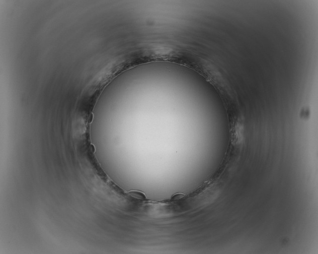 X0000111660472200907171614