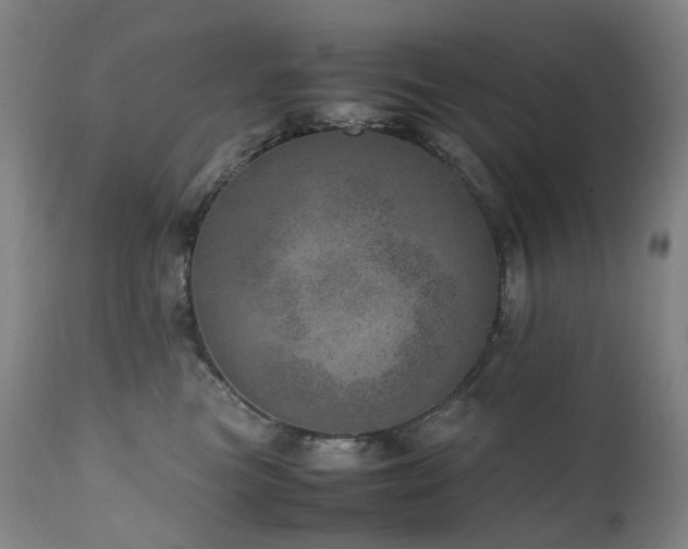 X0000111660473200907171614