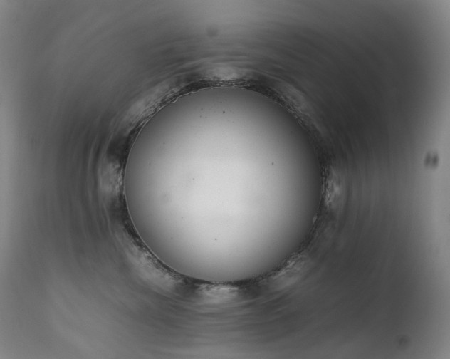 X0000111660476200907171614